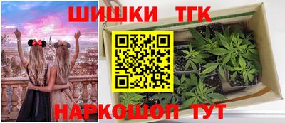 дмт Моздок