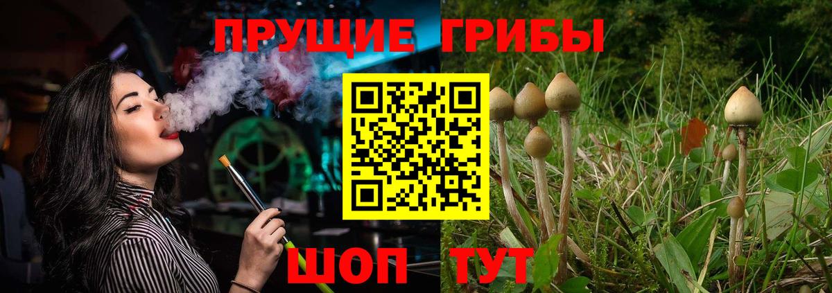 Псилоцибиновые грибы Magic Shrooms  Псилоцибиновые грибы MAGIC MUSHROOMS  Вход с VPN  Воркута 